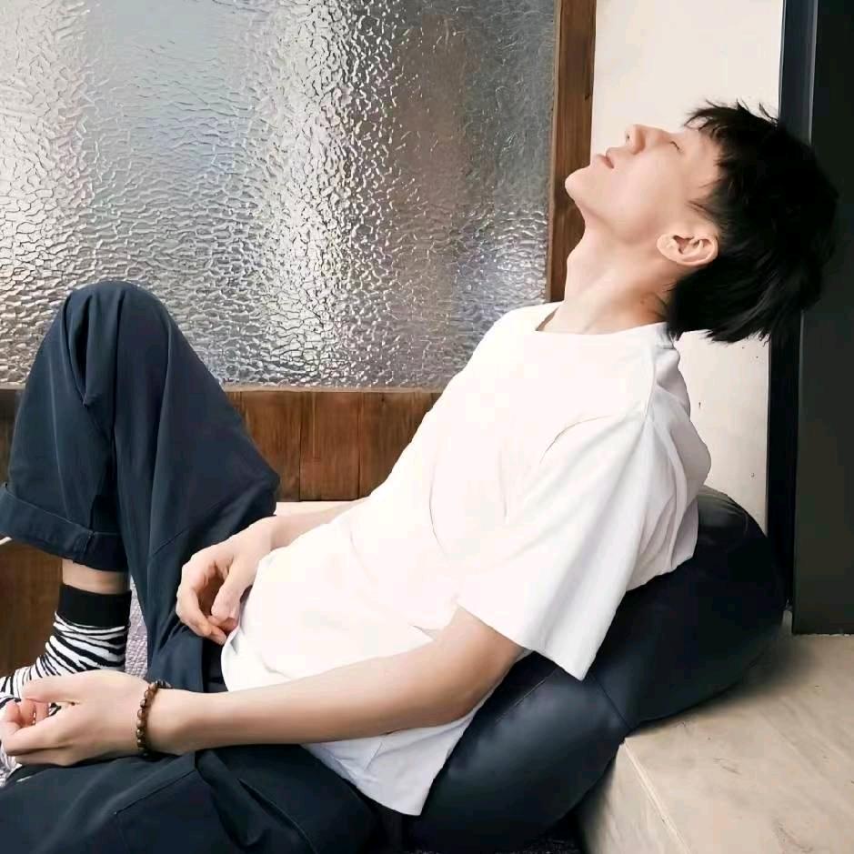 恐龙抗狼🦕🦕