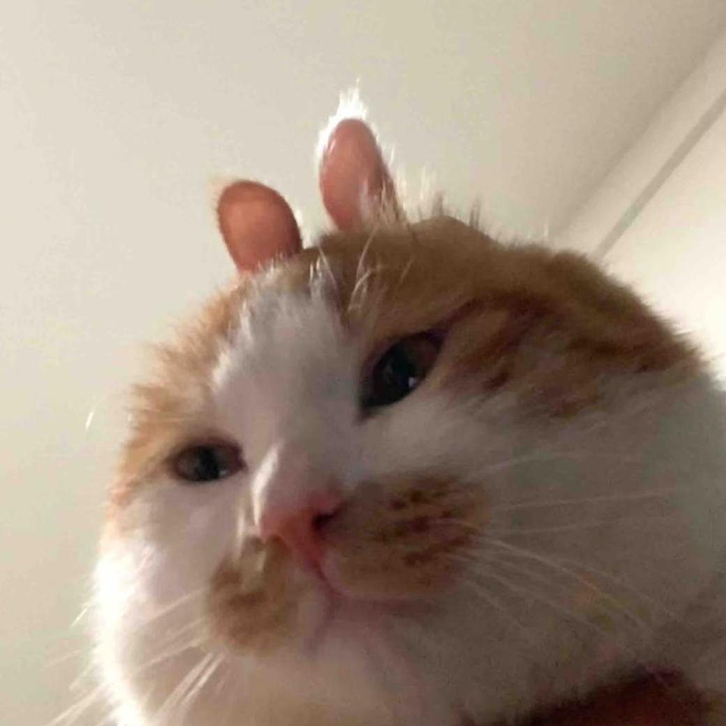 潋
