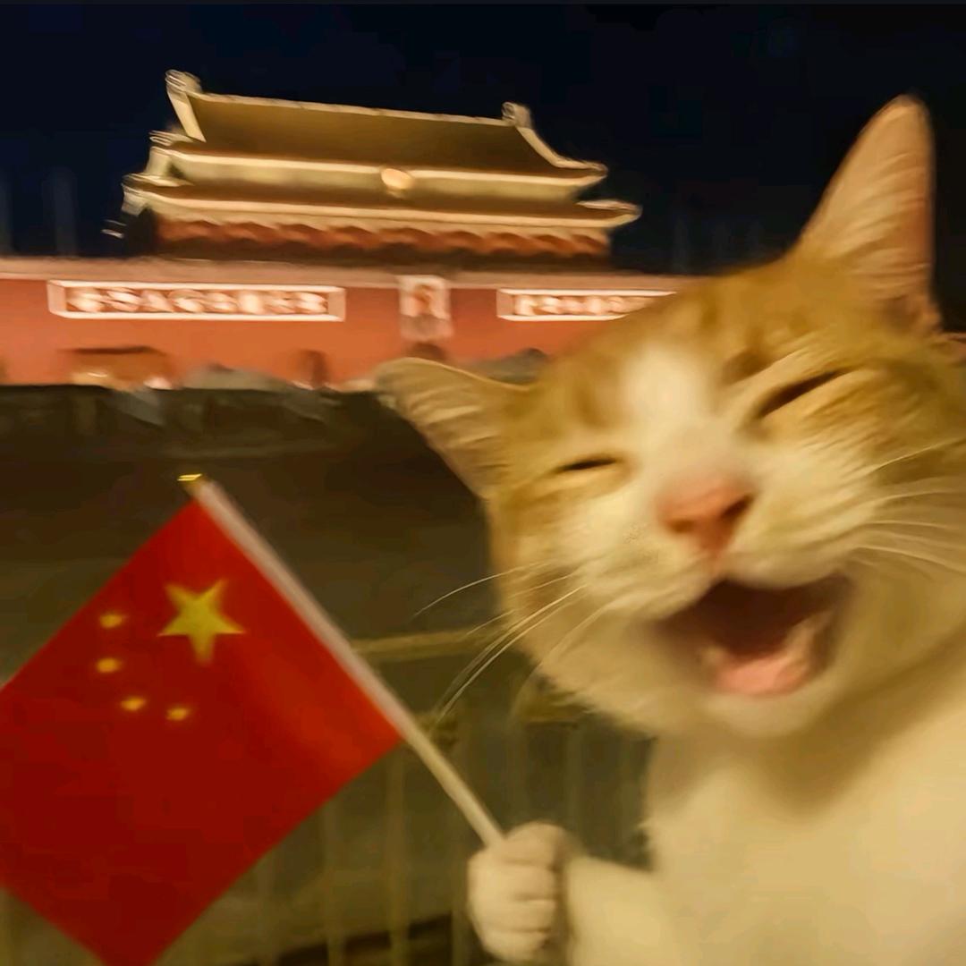 九十与你🌴