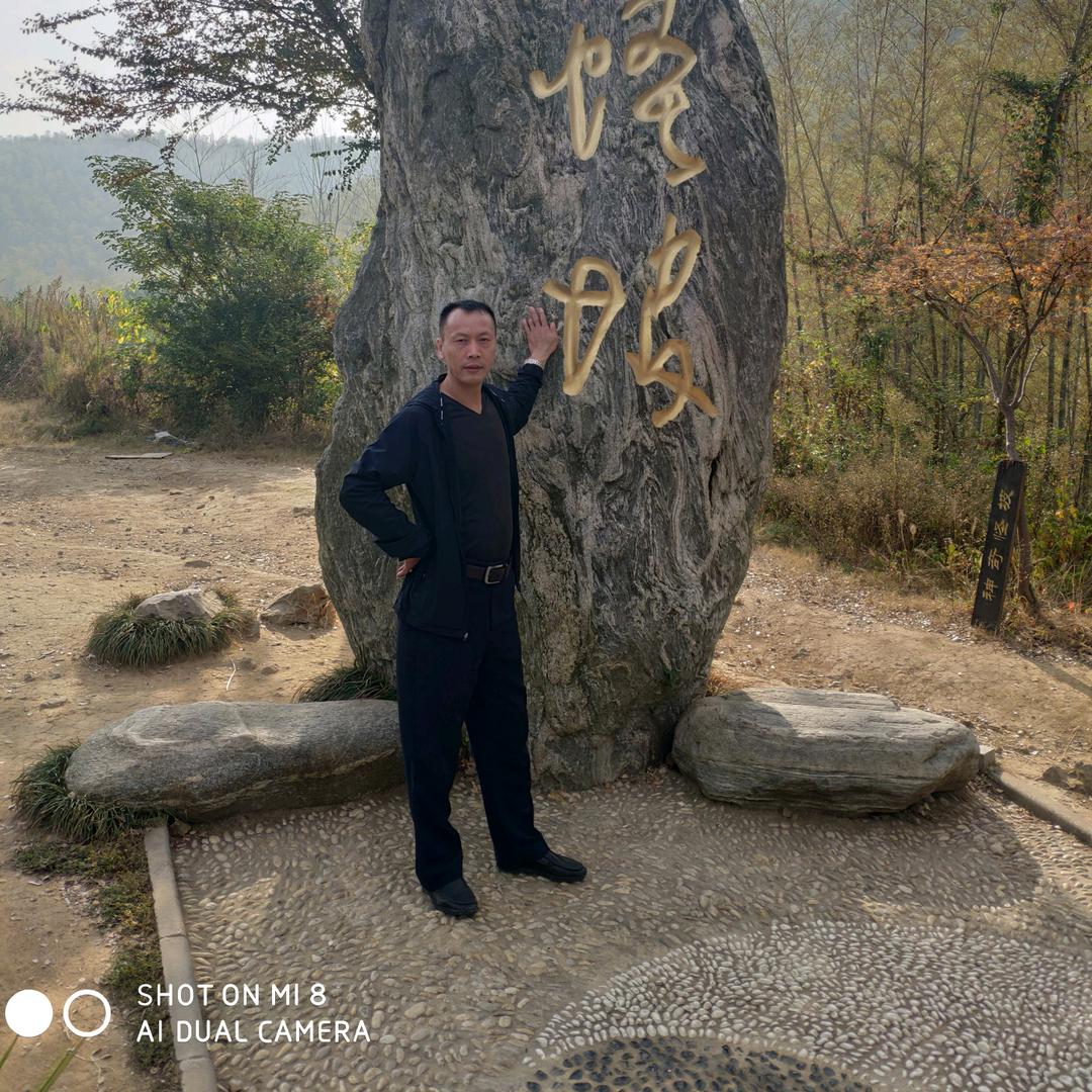 杨四哥