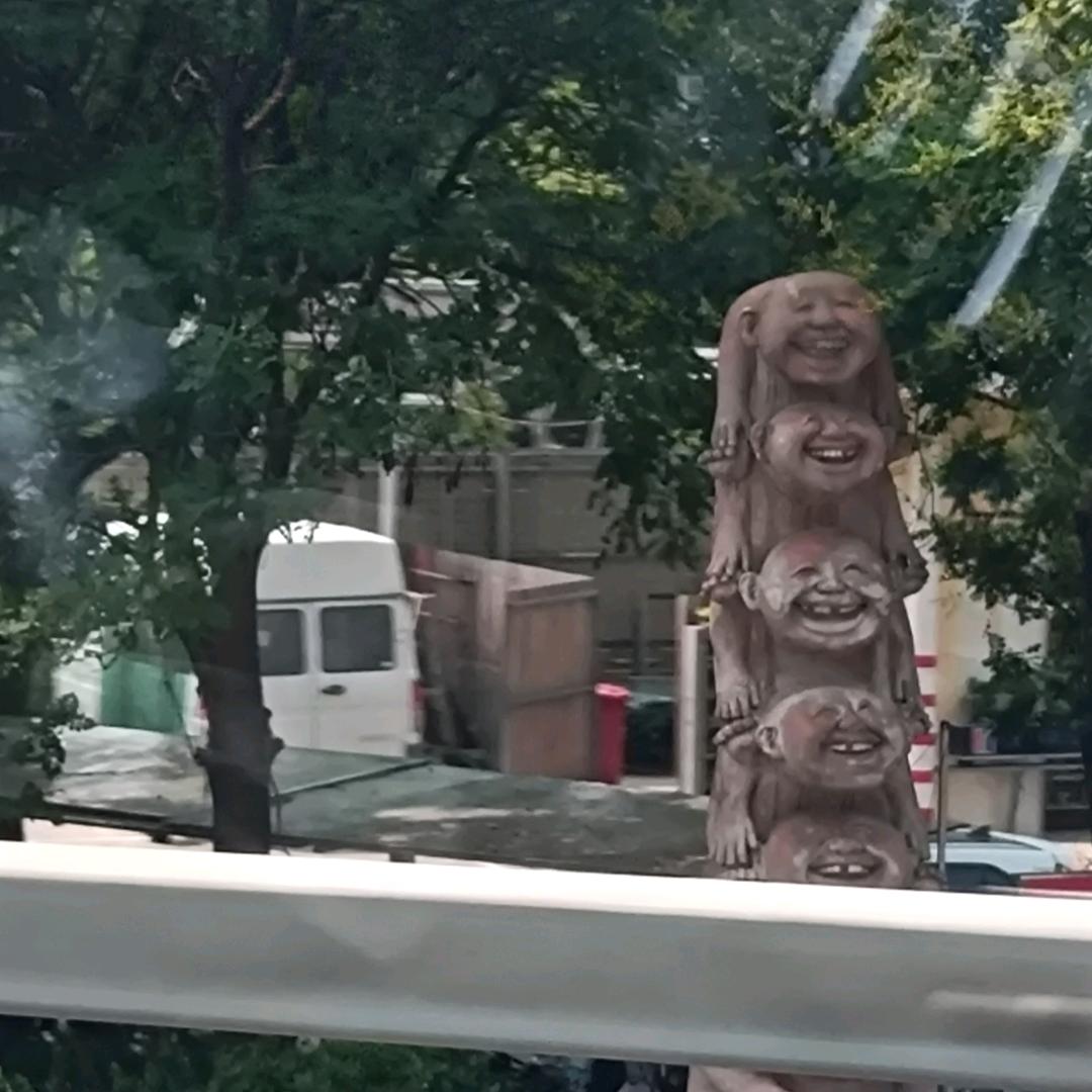 猫咪