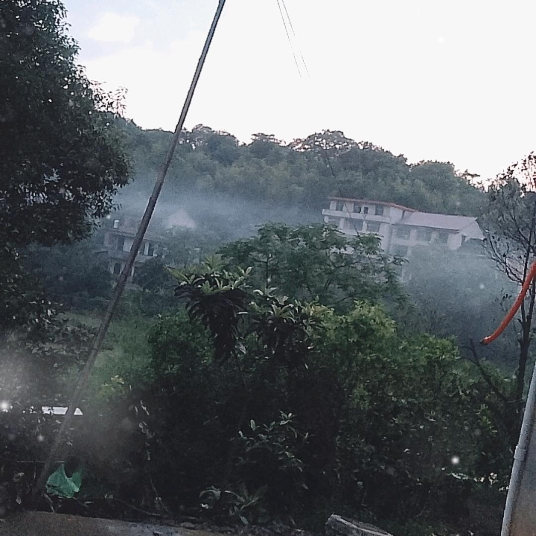 曾小楚