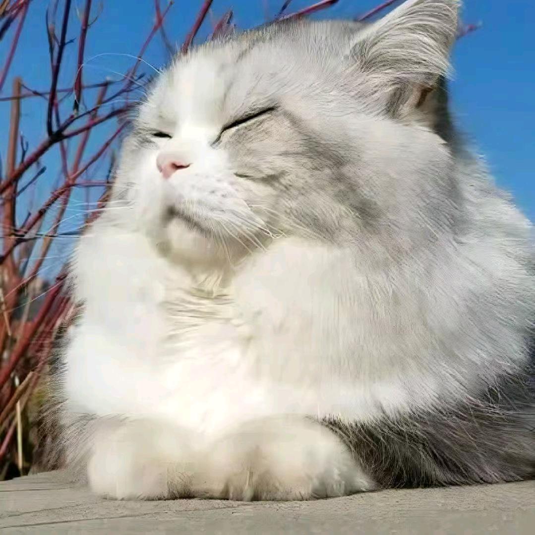 世事不允