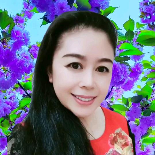 春蚕(拒私聊)