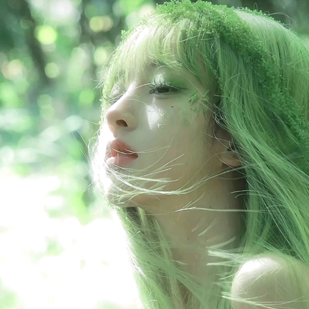 🍀十一蛇