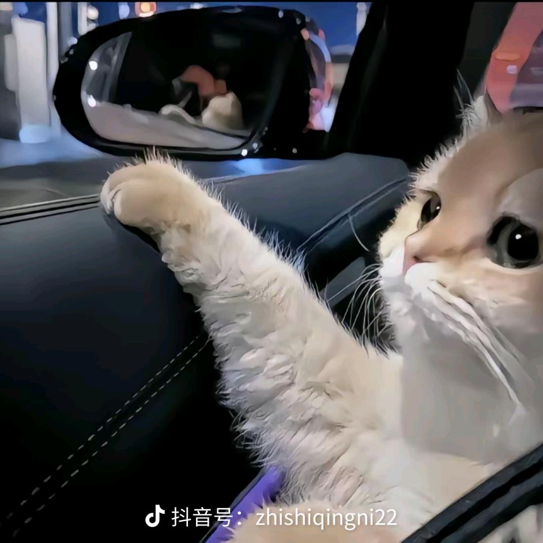 小李子
