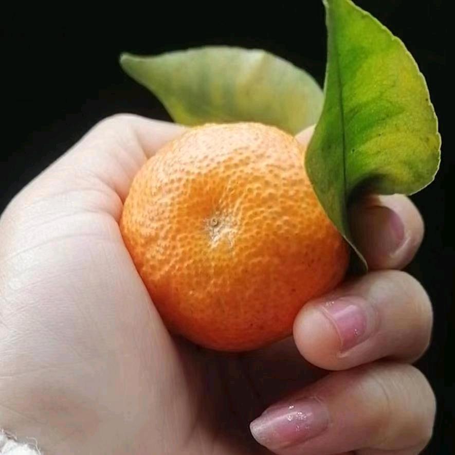 颜颜🍃
