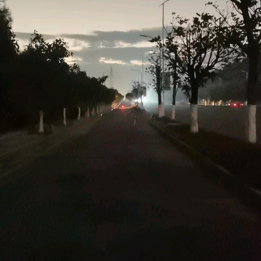 木易