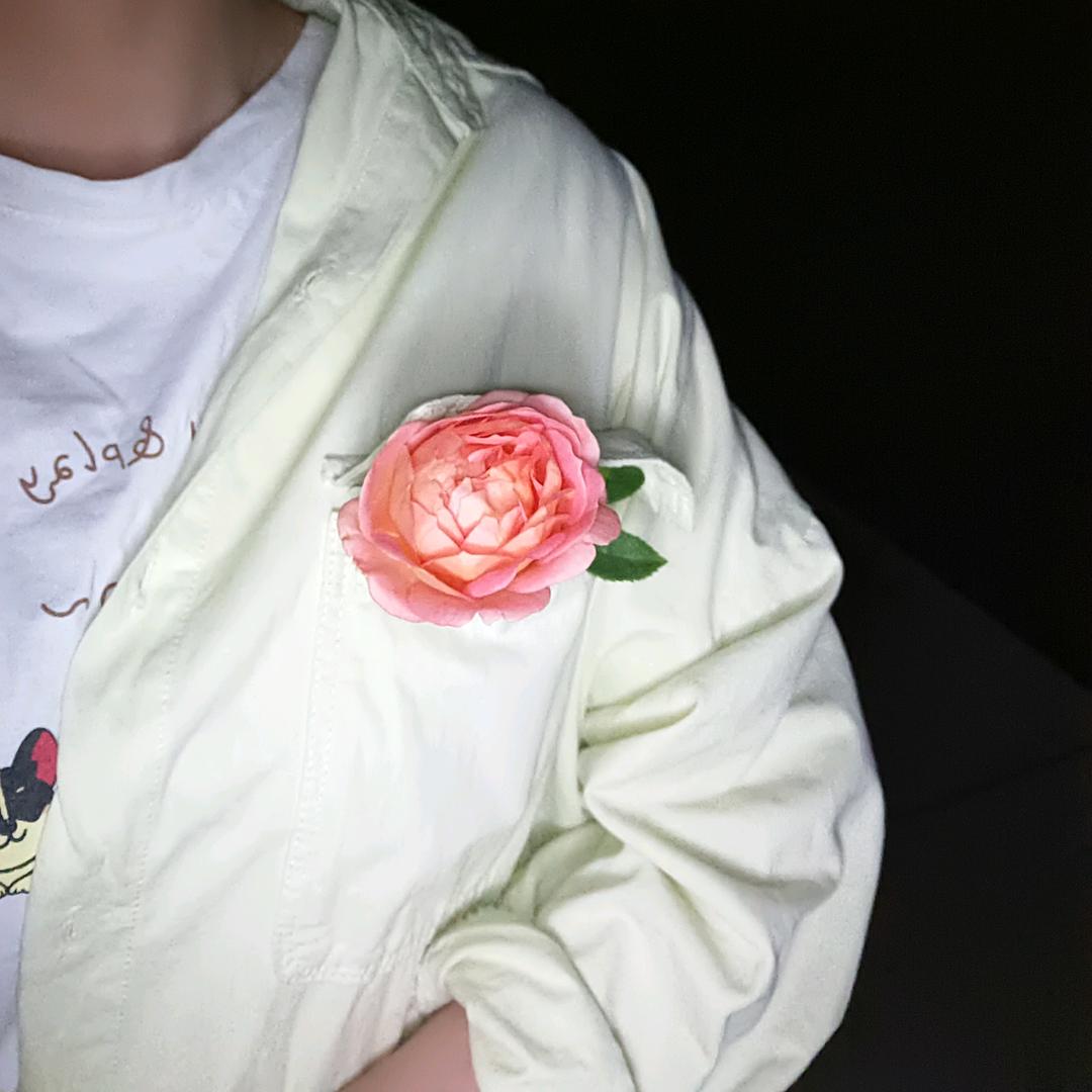 ℳঞ ໌້ᮨ执着ღ᭄