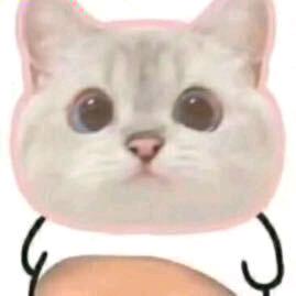 刘半仙儿