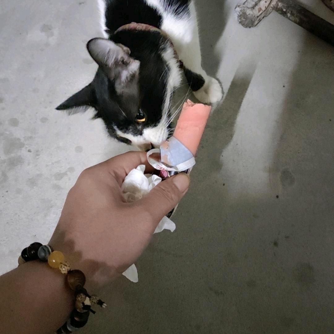 还是踏上最后一列地铁