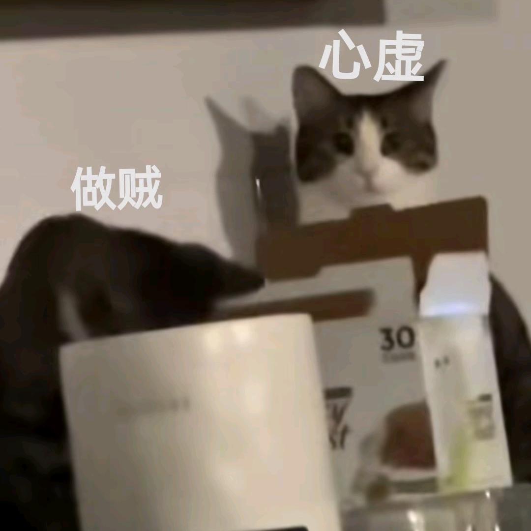 我都喜欢文外娘了