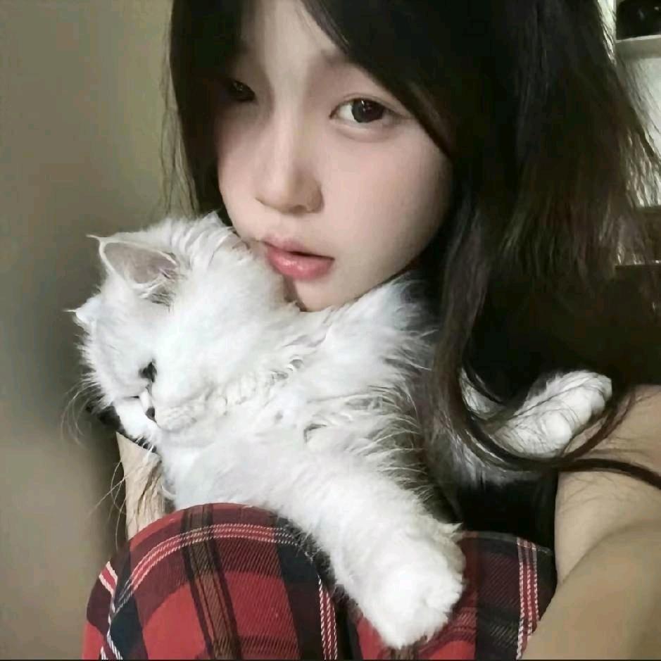 辰逸星