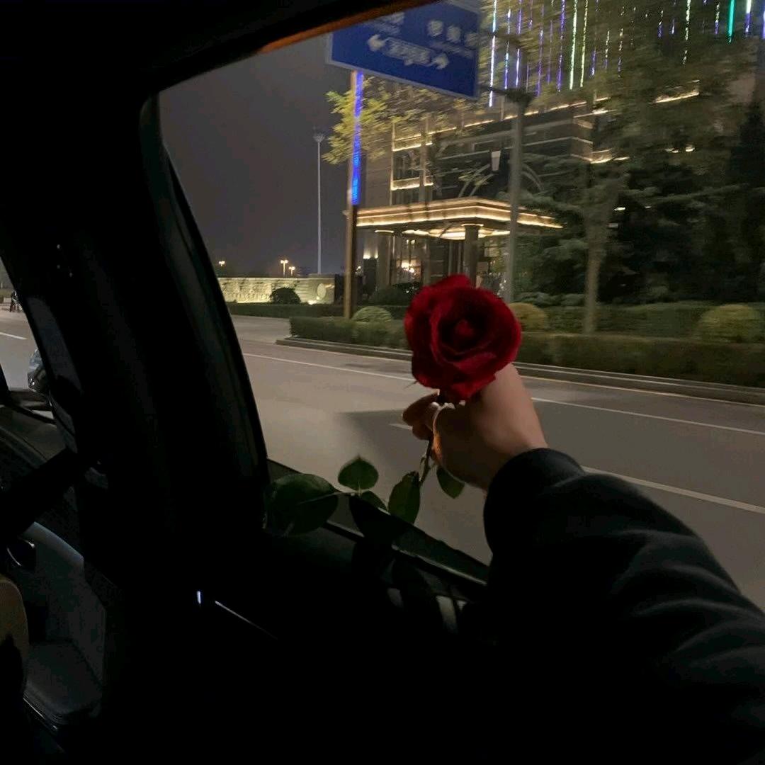 kol-鱼