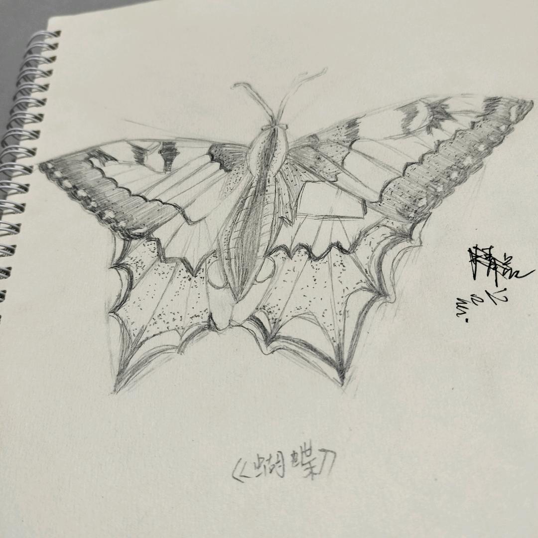 是桂子不是贵子