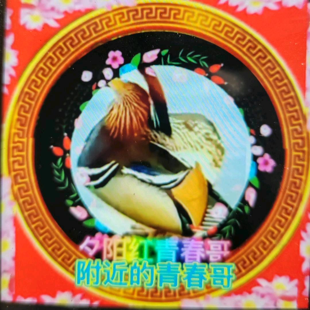 夕阳青春
