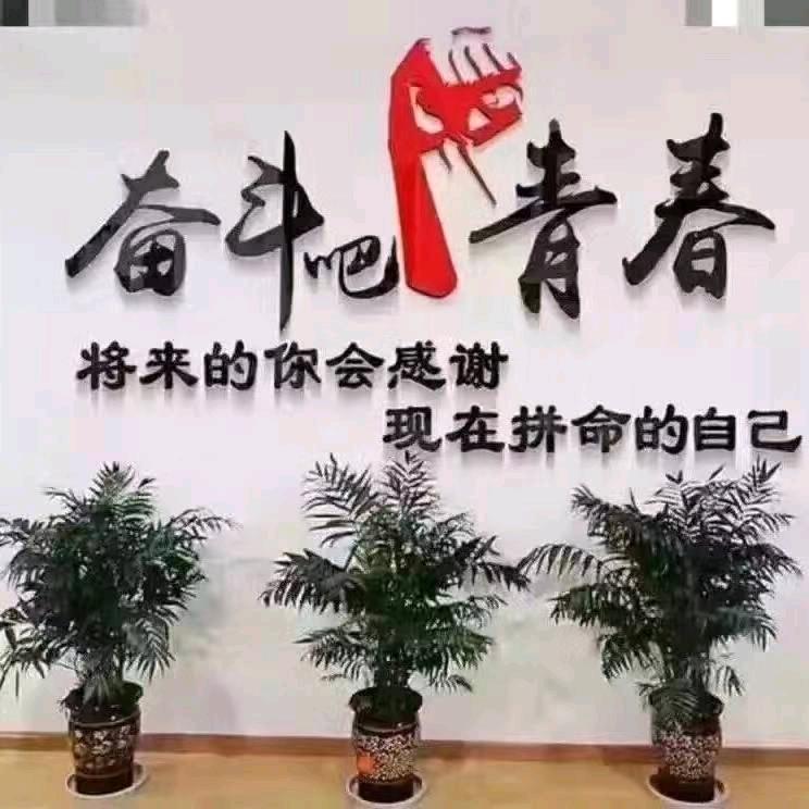 顺其自然8582