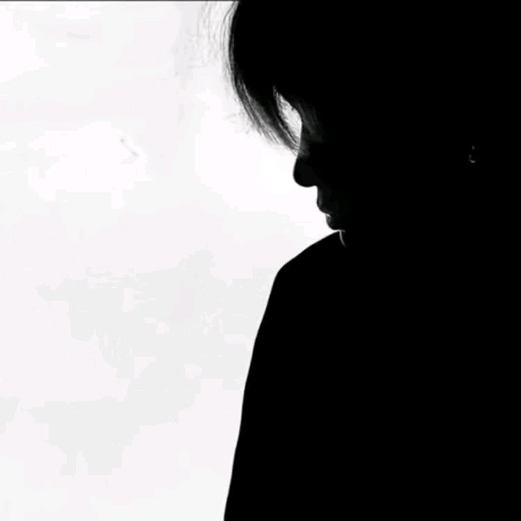 ㅤㅤ 沸羊羊.