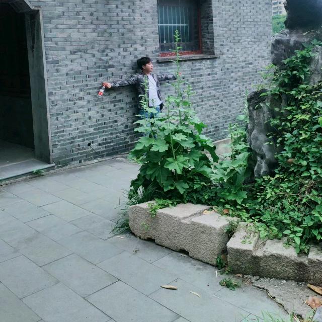 断联