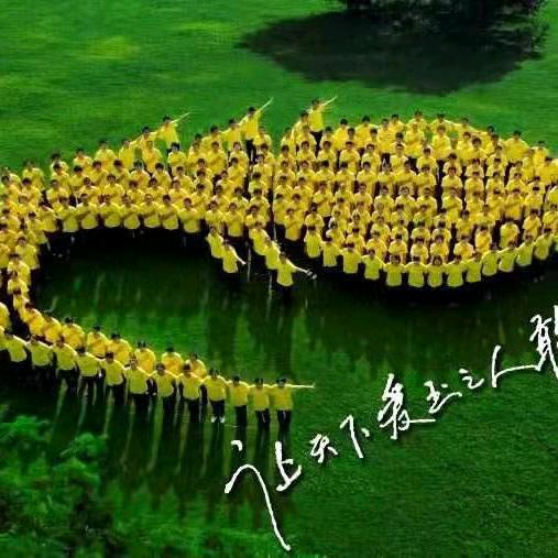 金版纳翡翠