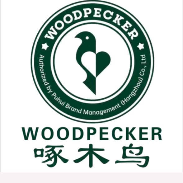 啄木鸟woodpecker星咖男鞋