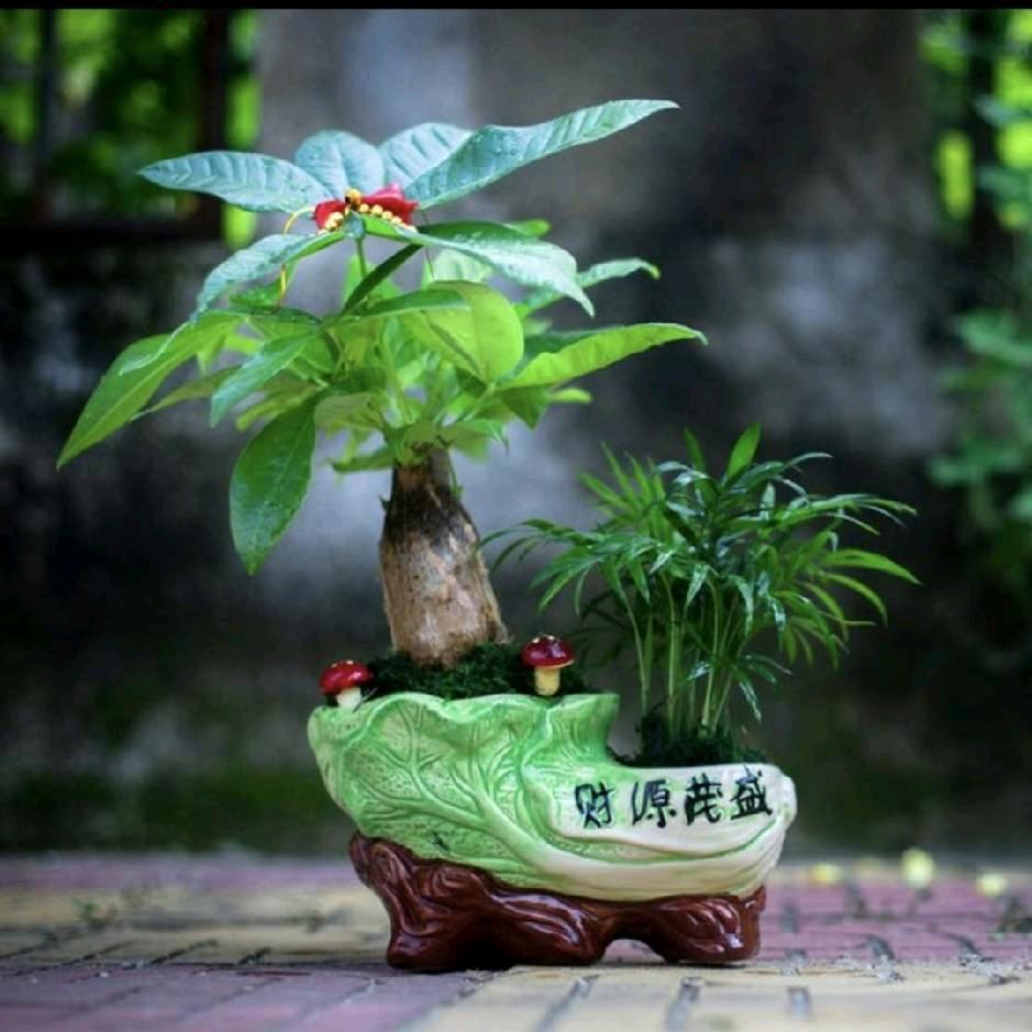 稳定🉐米