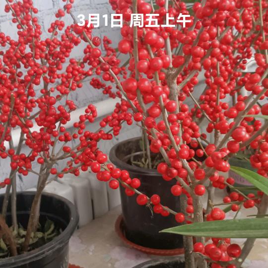 用户顺其自然