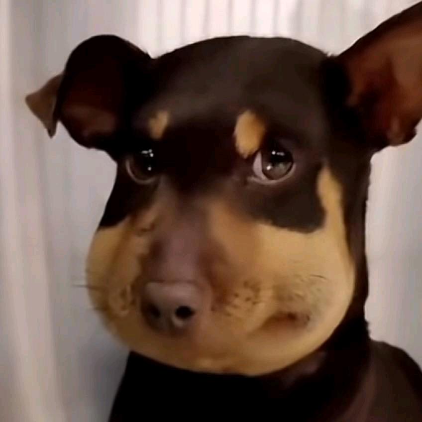 330