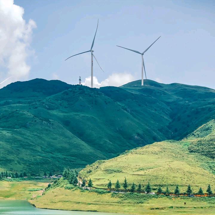 支 昂 张🌻🌻🌻🌻