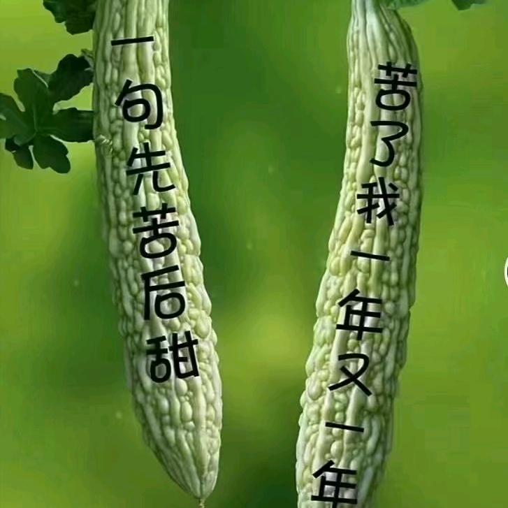 🚬ಇ᭄瓷杯为怀 🈵罪过醉过࿐