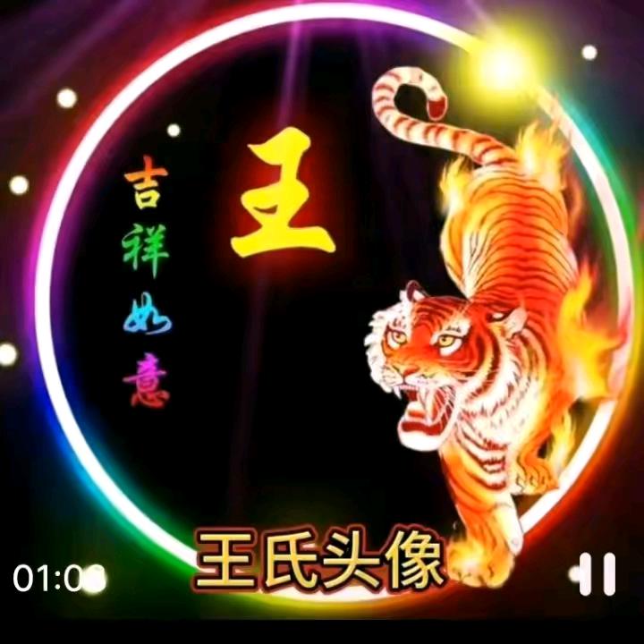 河南阿敏