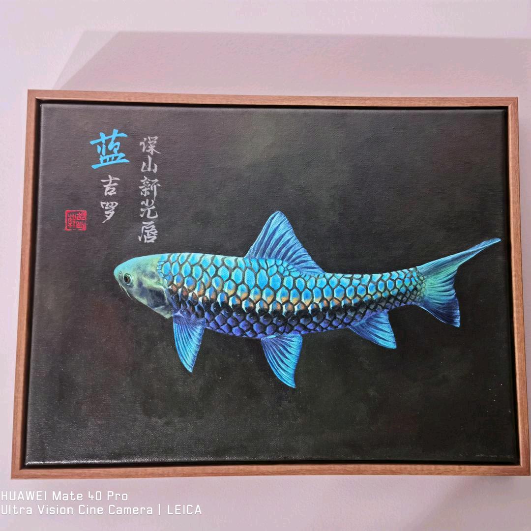 随心所欲