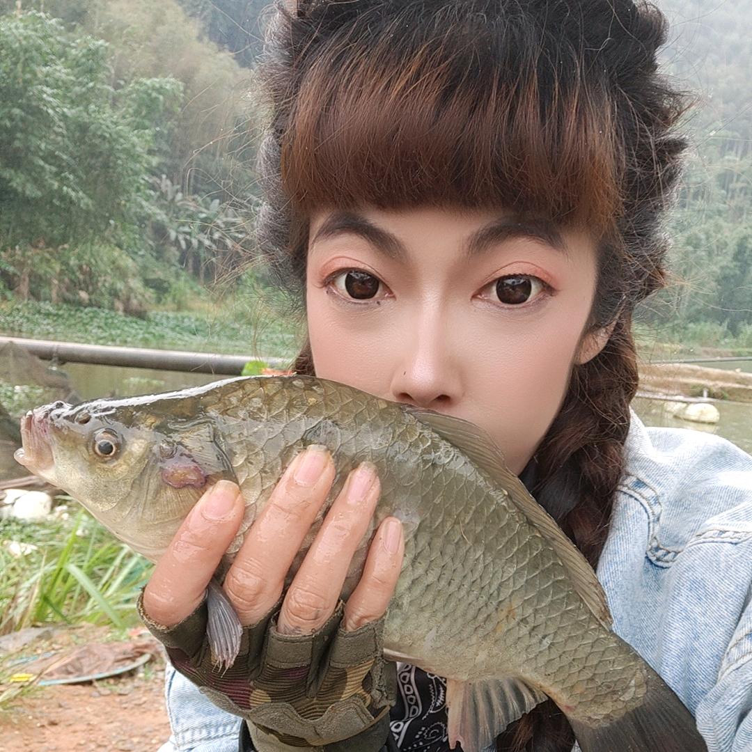 爱钓鱼的小猪猪(=^▽^=)
