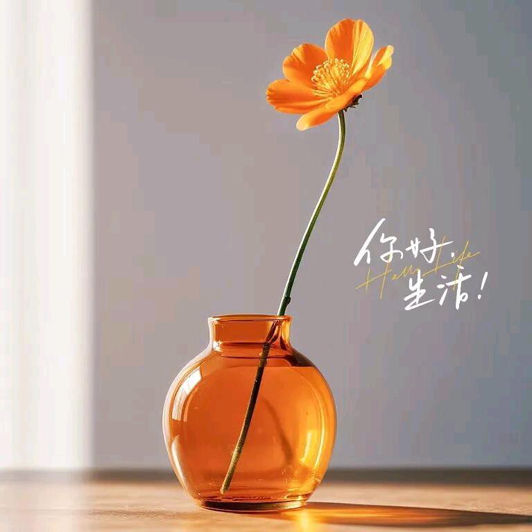 暖暖的小羊羊🐏