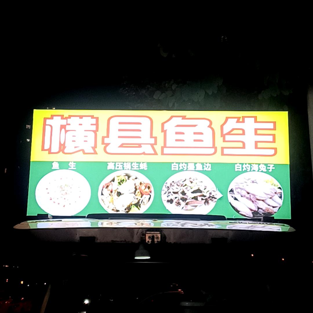 鱼生有你