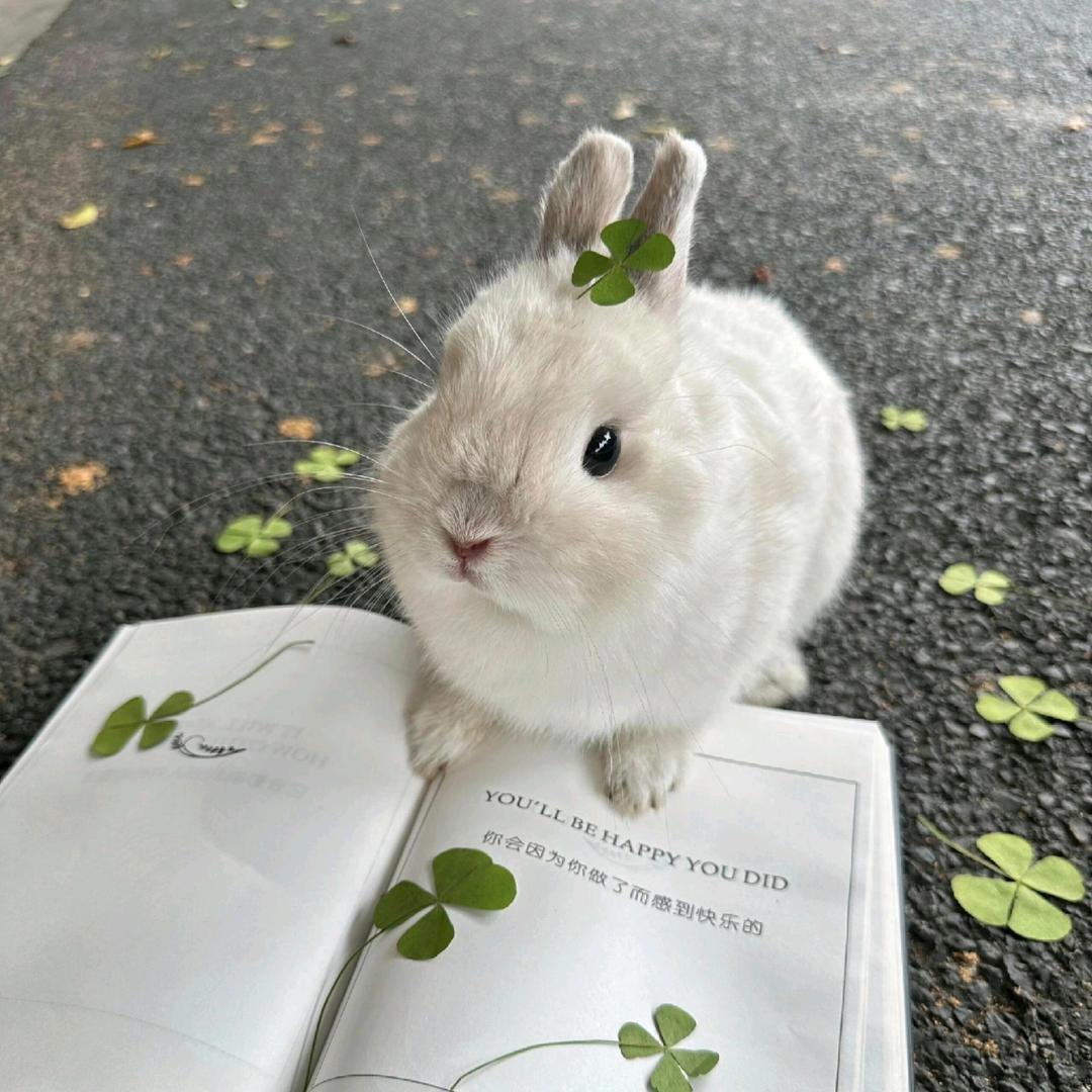 静儿