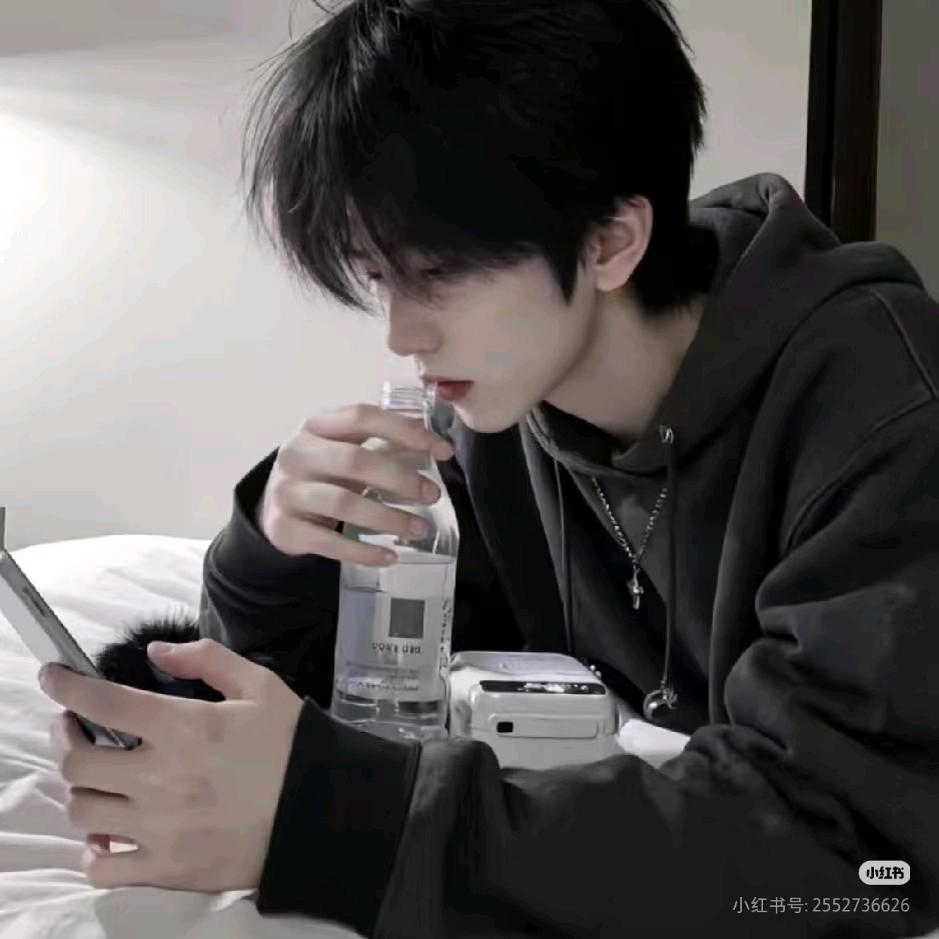 柯基我的最爱