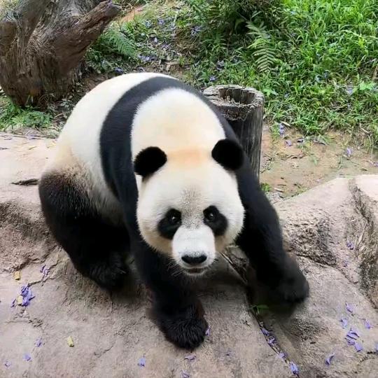 d(ŐдŐ๑)🧤晨风泼浪👒🌂