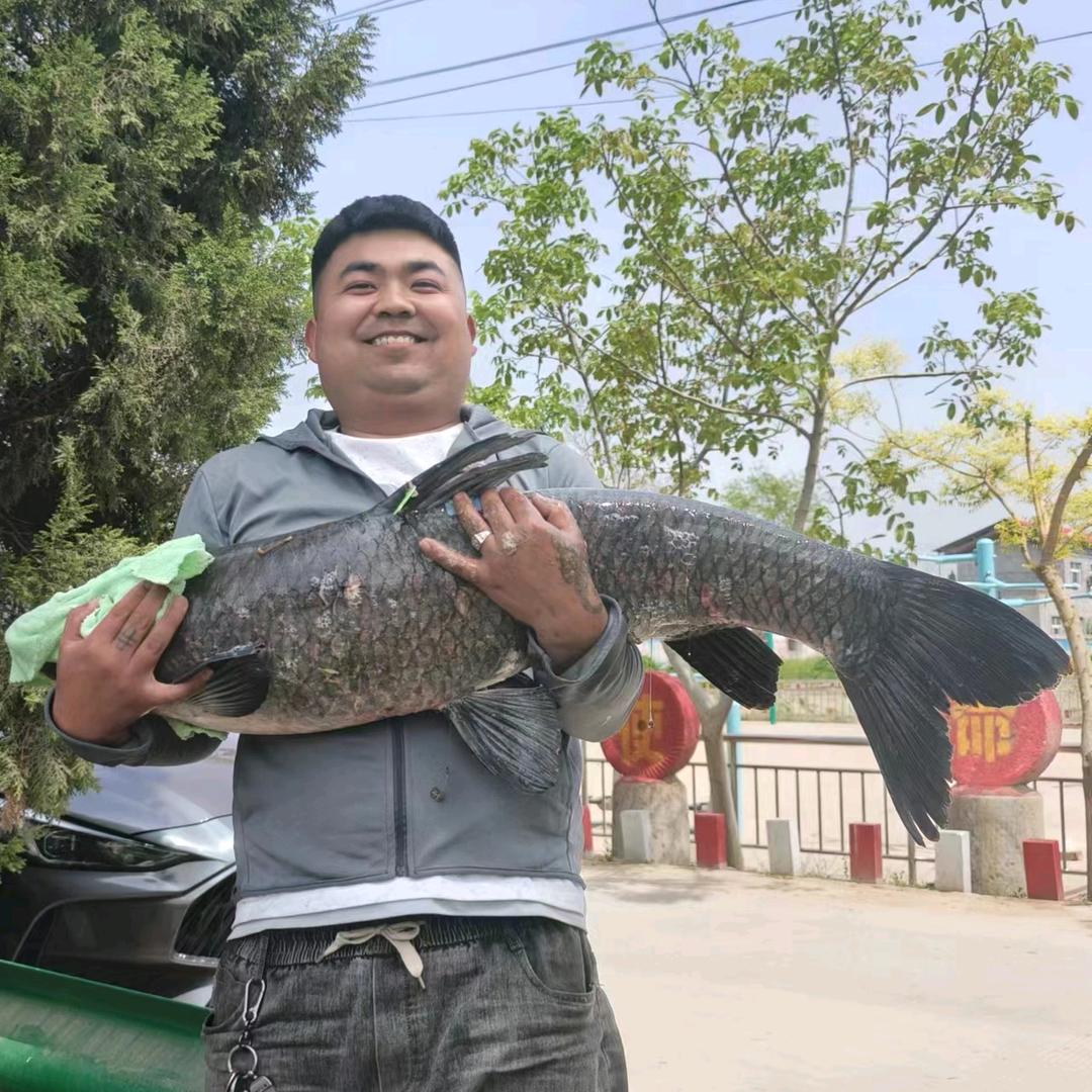 @独钓江湖