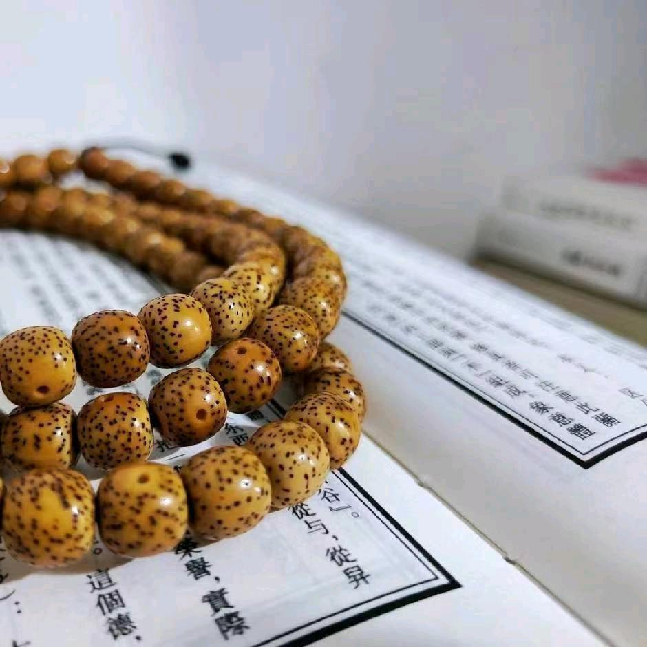贾修甄