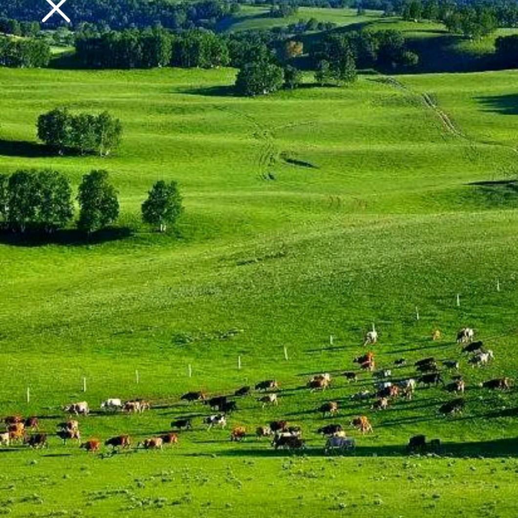 格局致胜  开播17：10