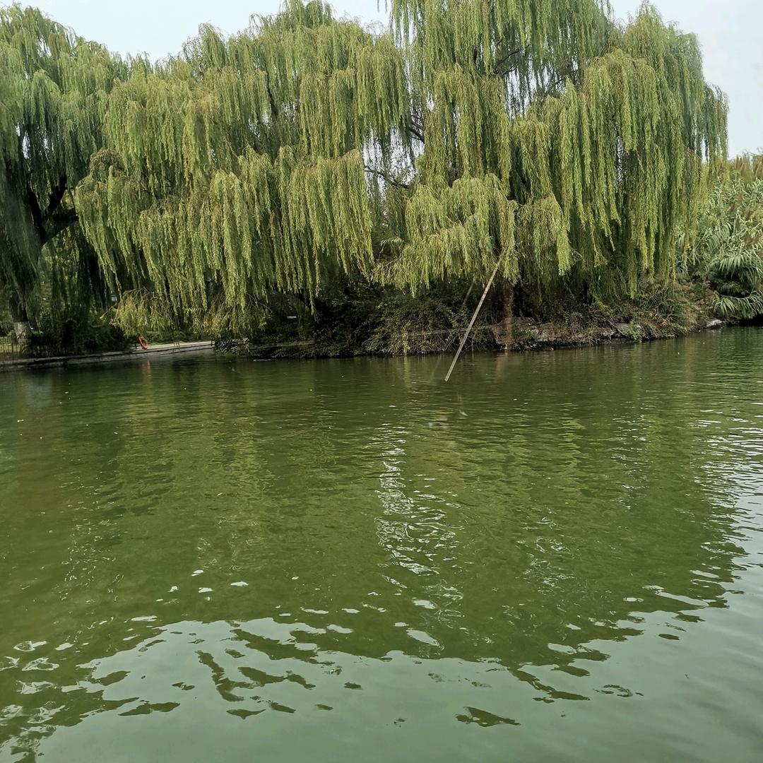 ☀️幸福一家人☀️（红姐）