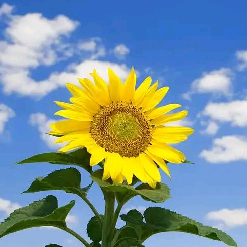 运动户外折扣仓