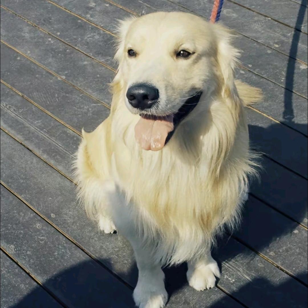 努力不发疯