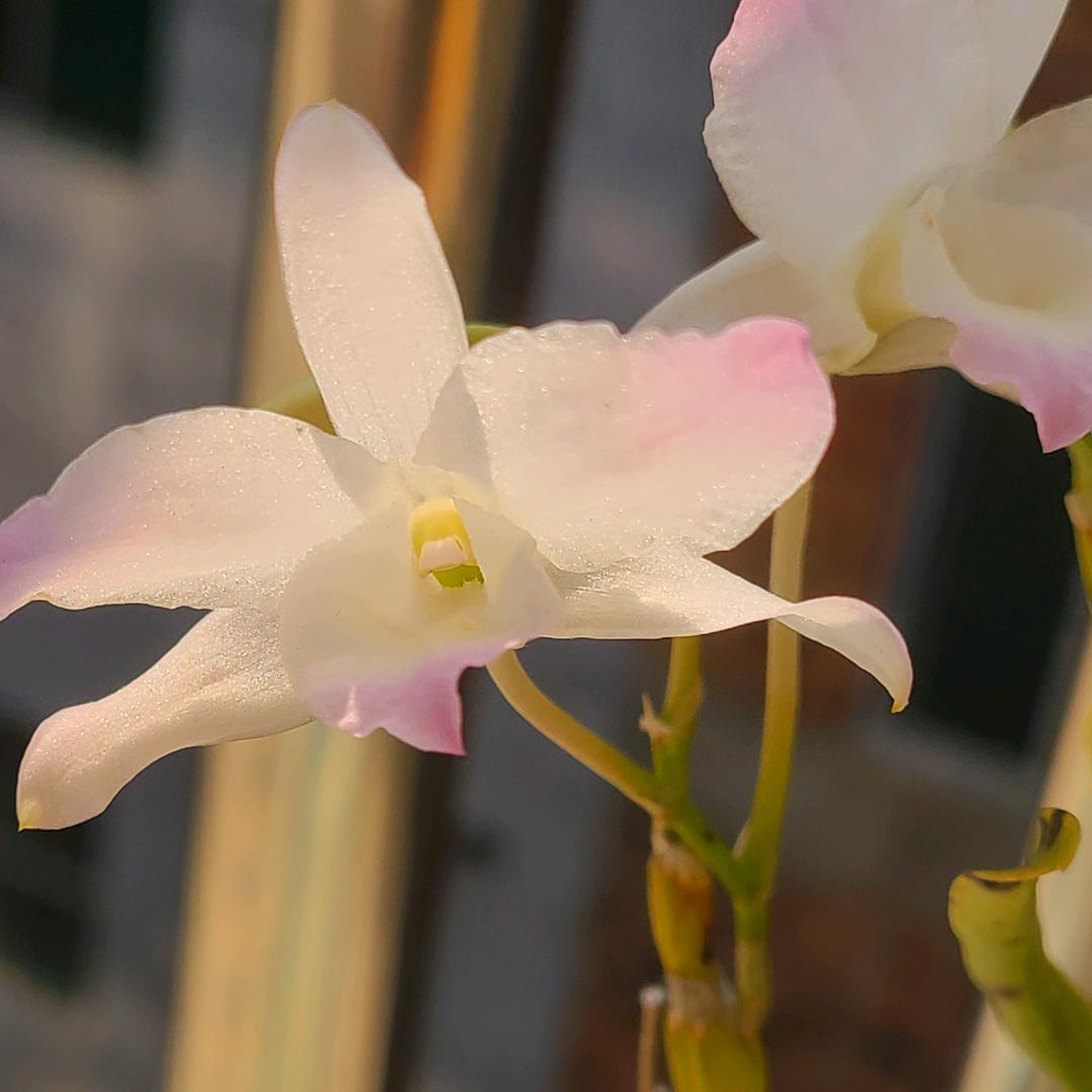 . 一半清醒一半醉 /