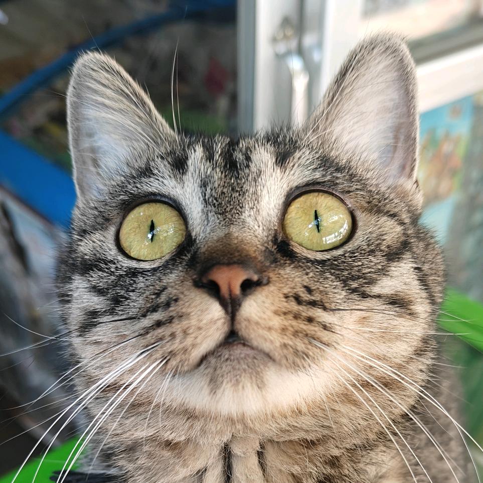铭杰～