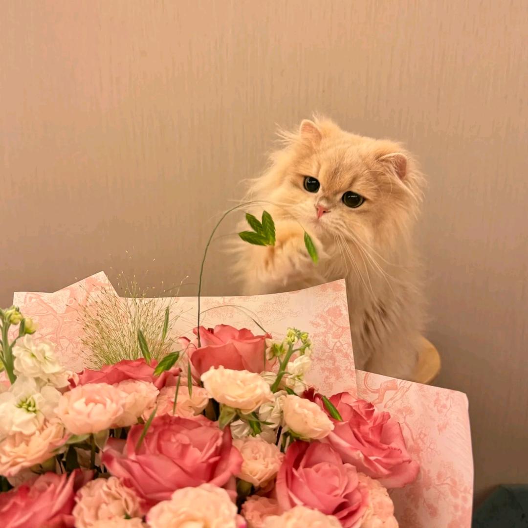 仇疏明