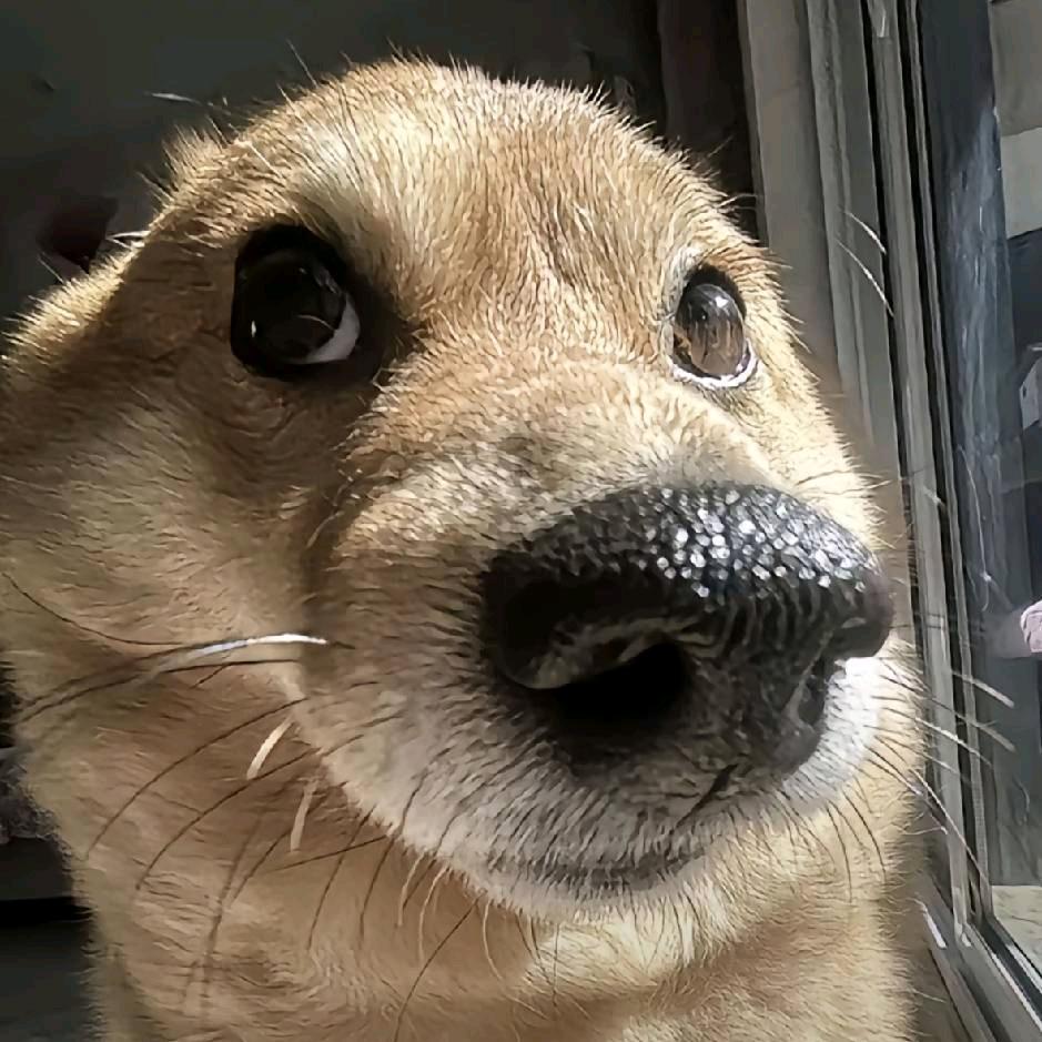 ‭路西头像