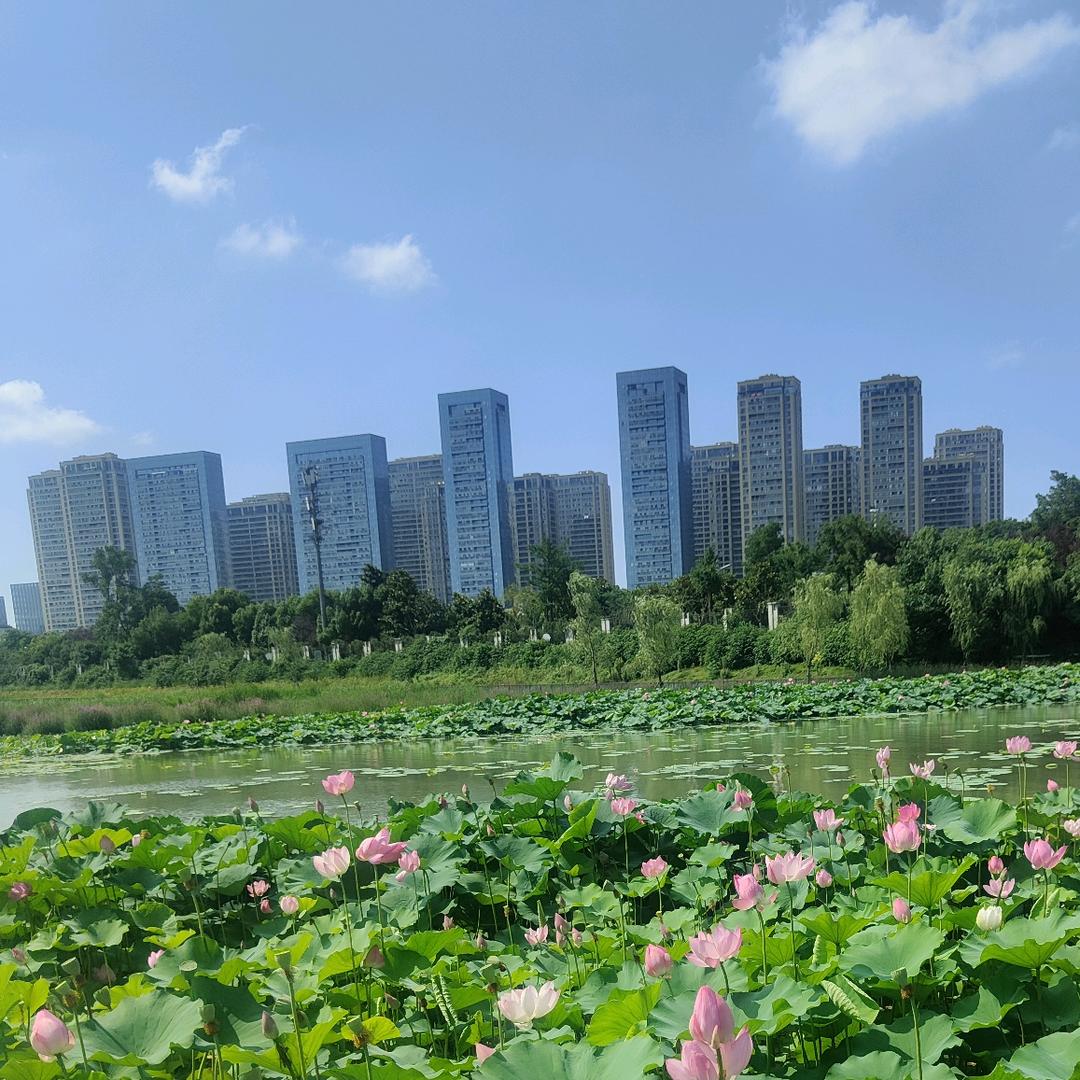 保持沉默