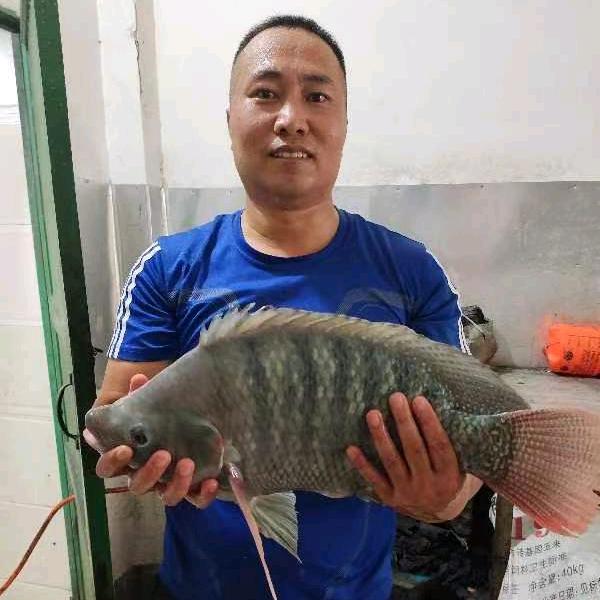 罗飞鱼🐠🐠崇左野钓，（橱窗钓鱼用品）